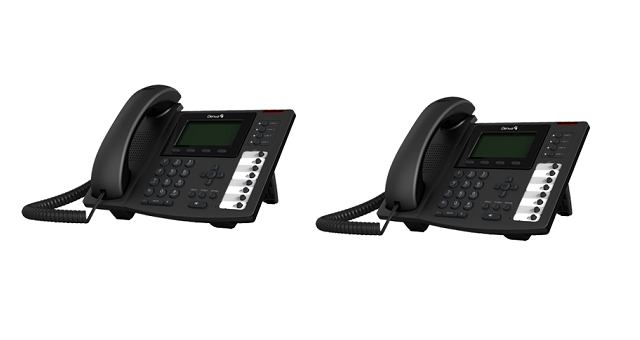 Denwa Teléfonos Gama Media IP DW-610P, DW-610G